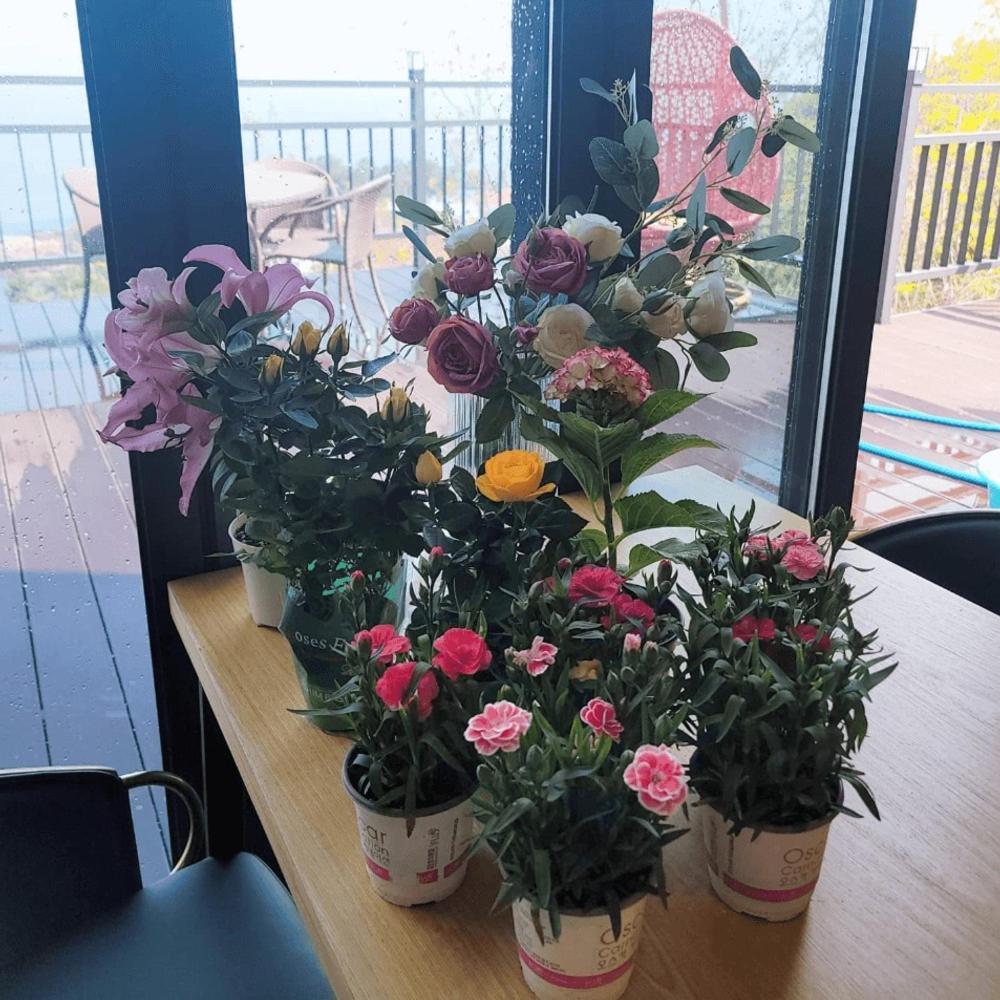 Yeongduk Brie Pension Yeongdeok Экстерьер фото